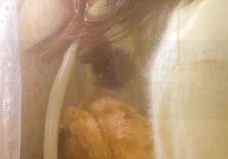 718.sx娱乐独家：下一波永久吃瓜暗潮涌动！